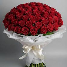 Букет 101 Красная роза Блэк Мэджик #REPLACE_PRED# Валуйках