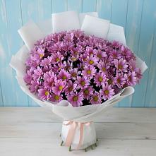 Букет цветов из:  Хризантемы в Валуйках
