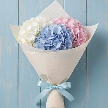 Букет цветов из:  Гортензия #REPLACE_PRED# Валуйках