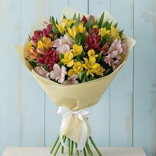 Букет цветов из:  Альстромерии в Валуйках
