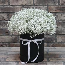Цветочная композиция из Гипсофила в шляпной коробке в Валуйках