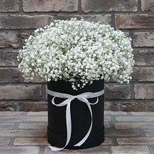 Цветочная композиция из Гипсофила в шляпной коробке в Валуйках