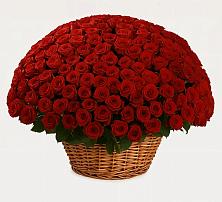 Премиум букет из: Розы #REPLACE_PRED# Валуйках