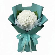 Букет цветов из:  Гортензия в Валуйках